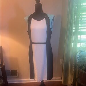 Calvin Klein White and Blue Sleeveless Sheath Dress